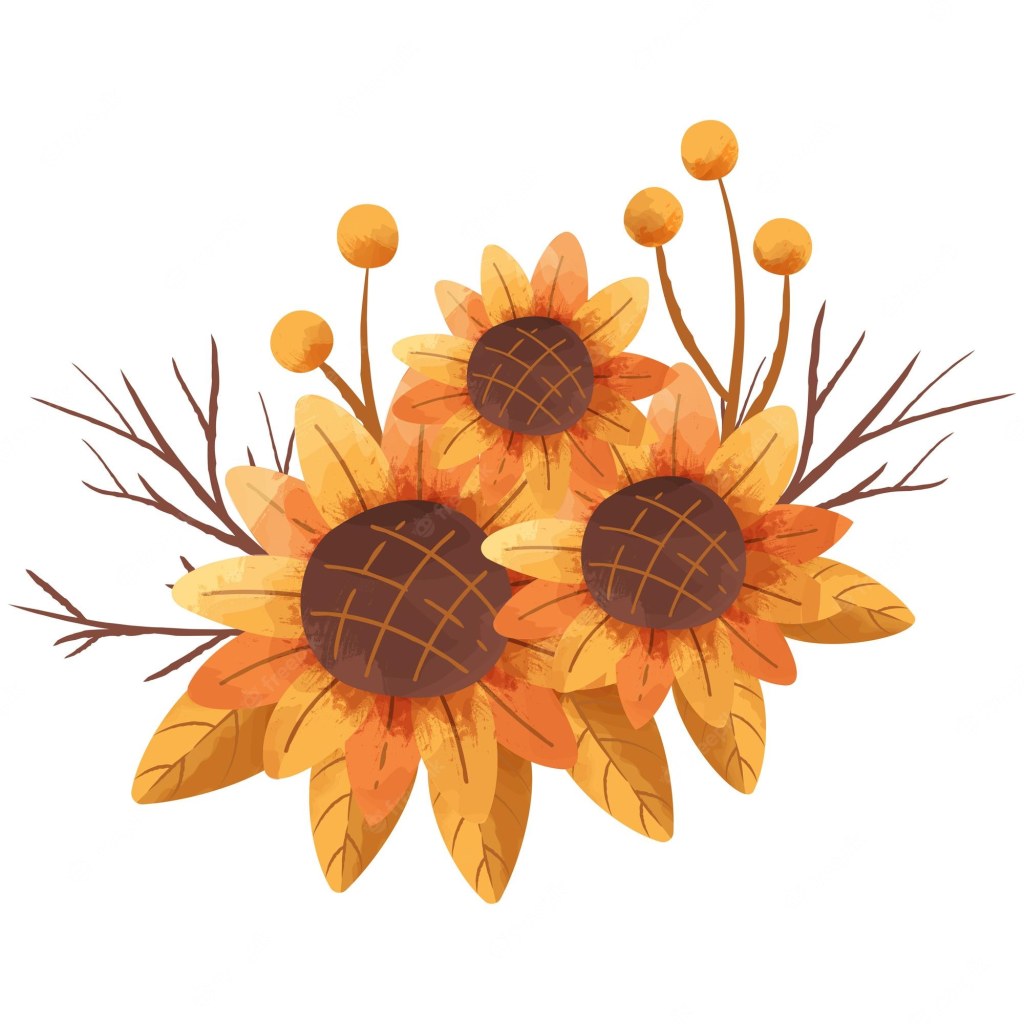 Picture of: Premium Vector  Rustic orange autumn fall flower illustrations